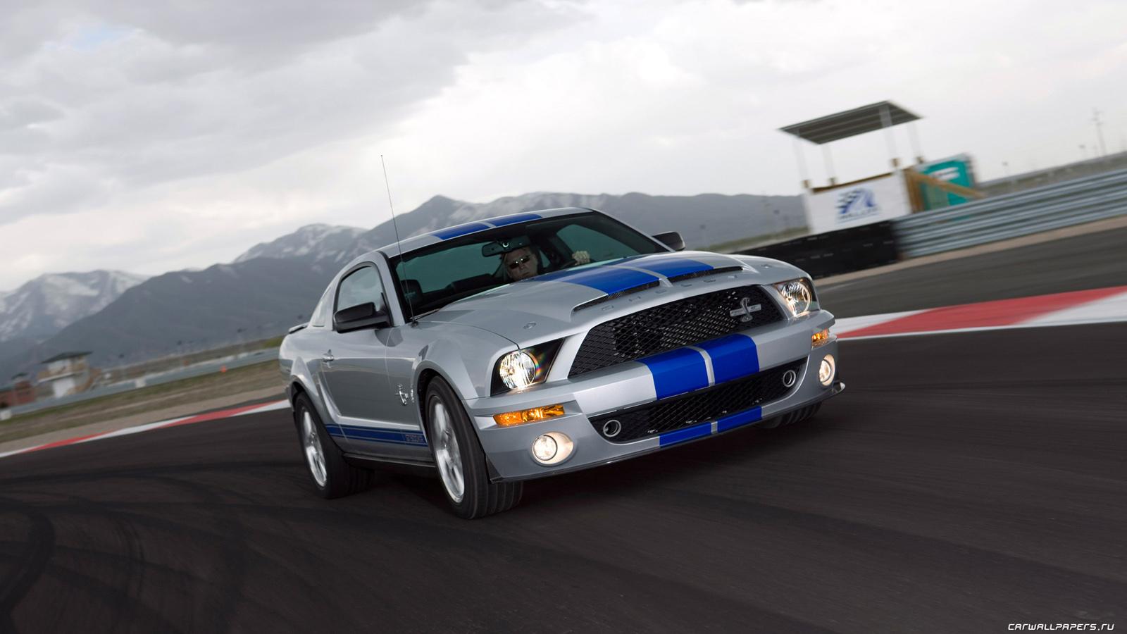 Ford Mustang Shelby gt500 2008