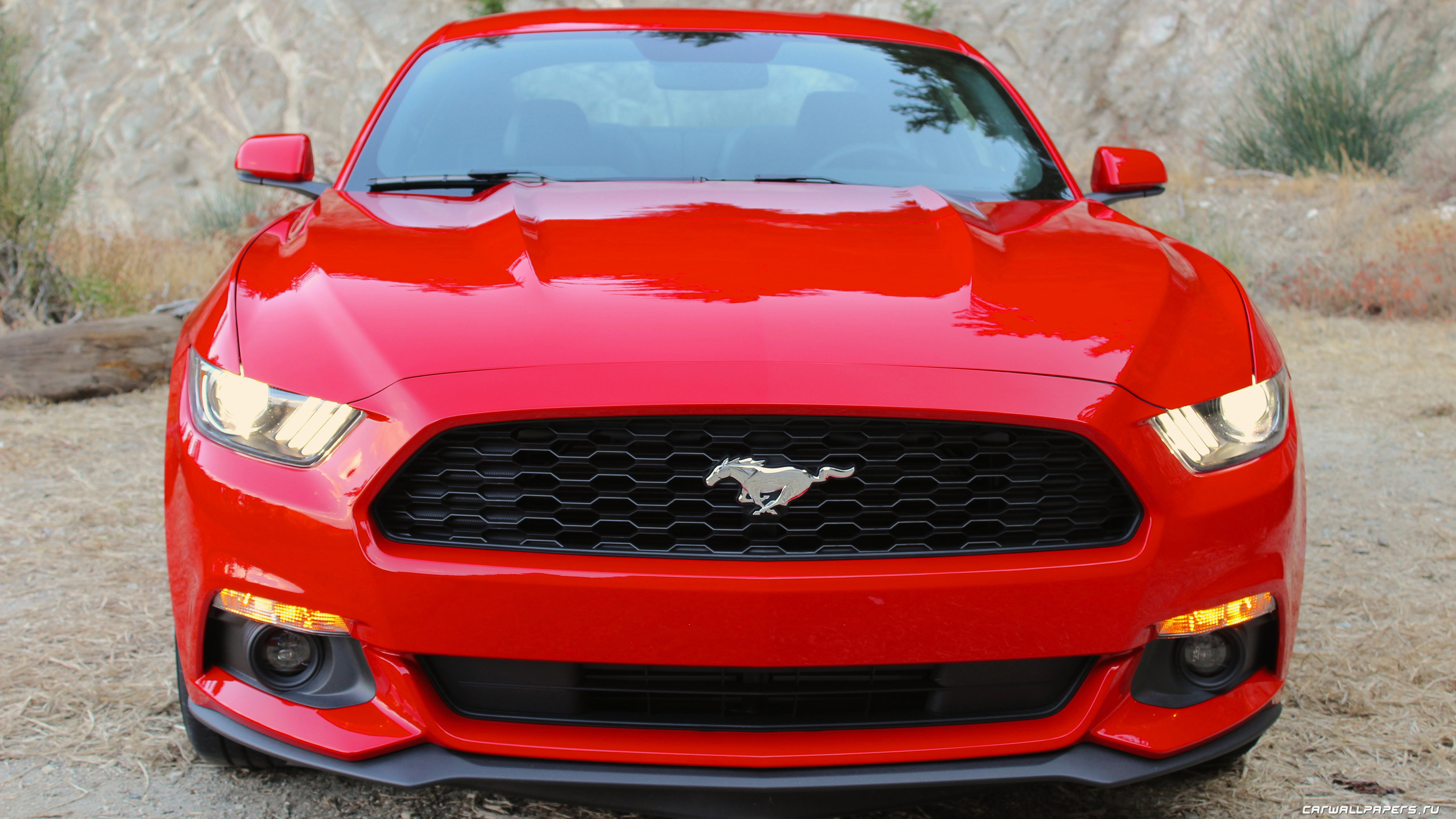 Ford Mustang 2015 спереди